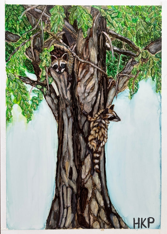 Painting of two young raccoons climbing an oak tree