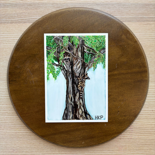 Painting of two young raccoons climbing an oak tree, sitting on top of a dark wooden plate