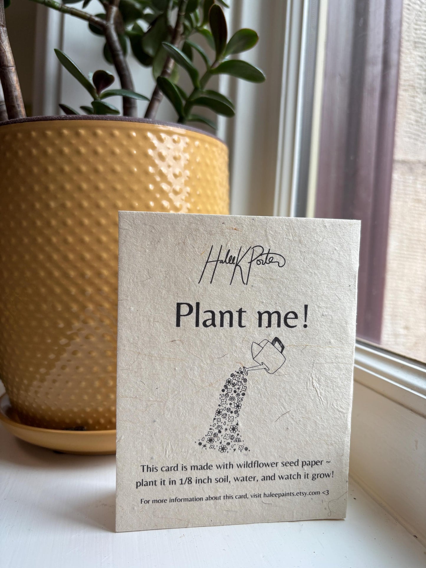 Goat Greeting Cards 4 pack: Wildflower Seed Paper, Rustic Farm Stationery